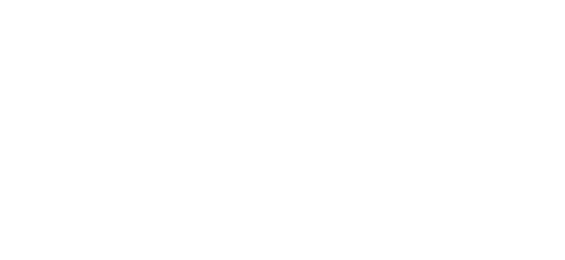 نیٹ پے logo